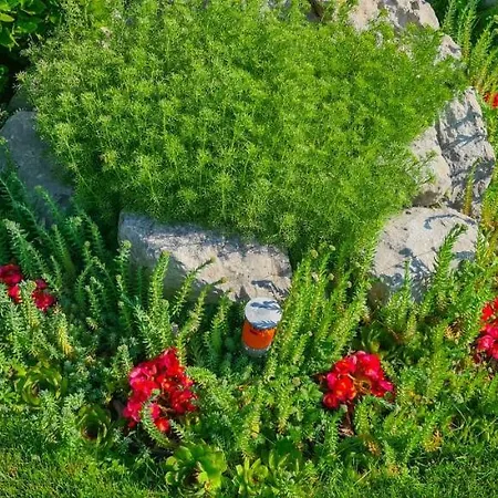 Appartamento Krasa Laurana